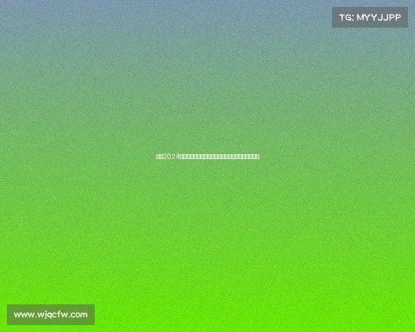 深圳2024网球分级挑战赛激情竞技全民参与荣耀共享网球盛宴